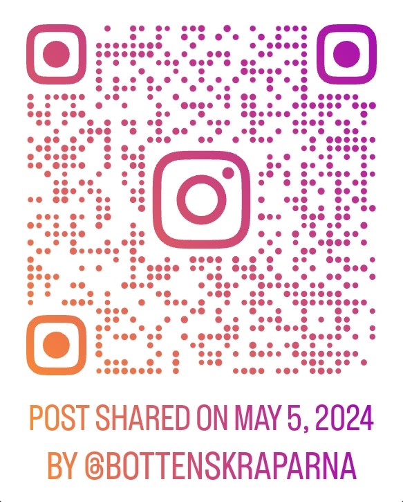 2024 DKB Instagram
